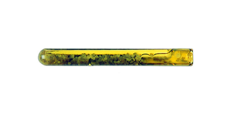 Collinox liima